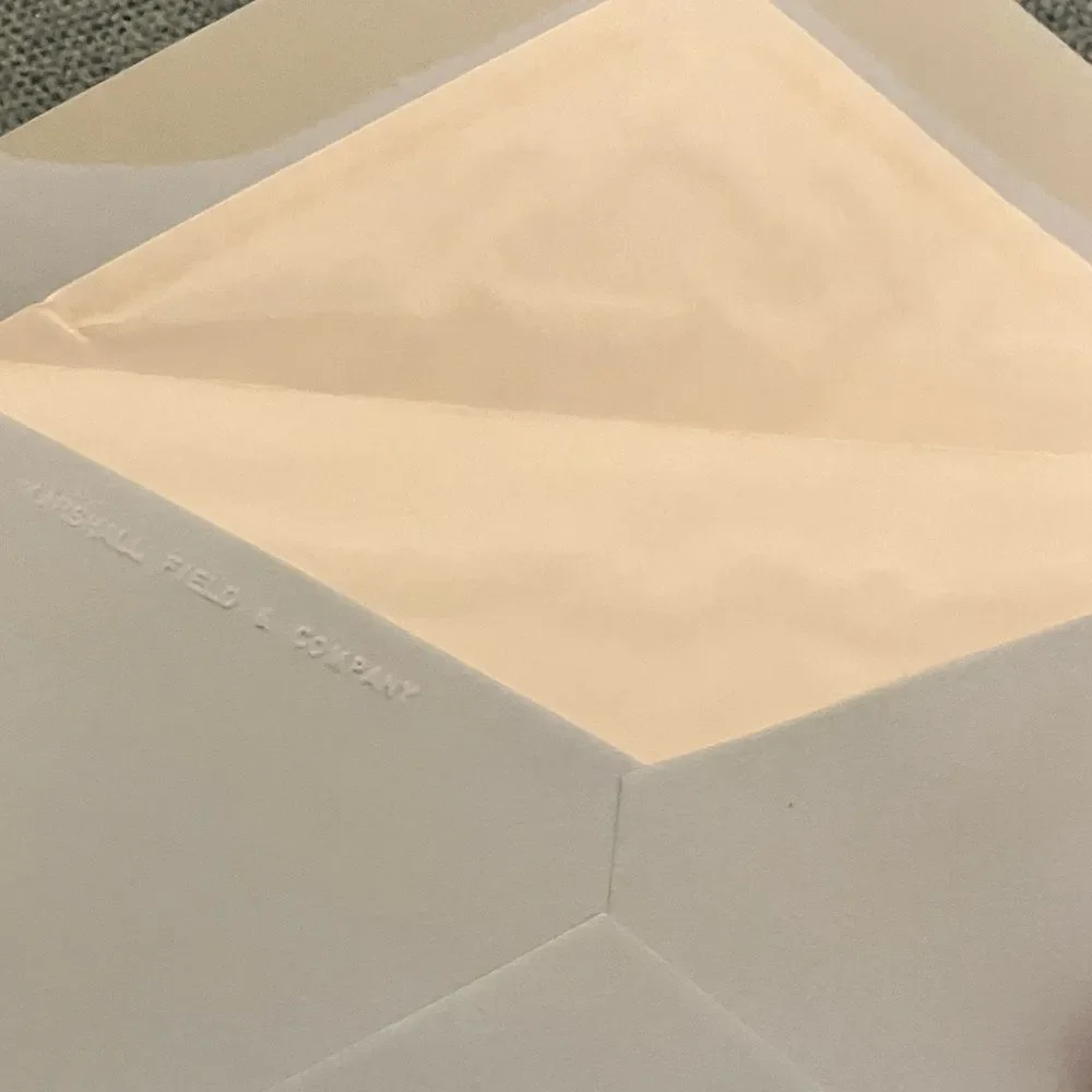 10 Blue Envelopes